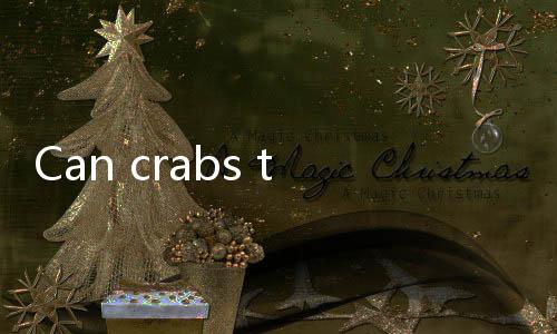 【Best Live Dealer Games India】Can crabs that spit bubbles still be eaten?